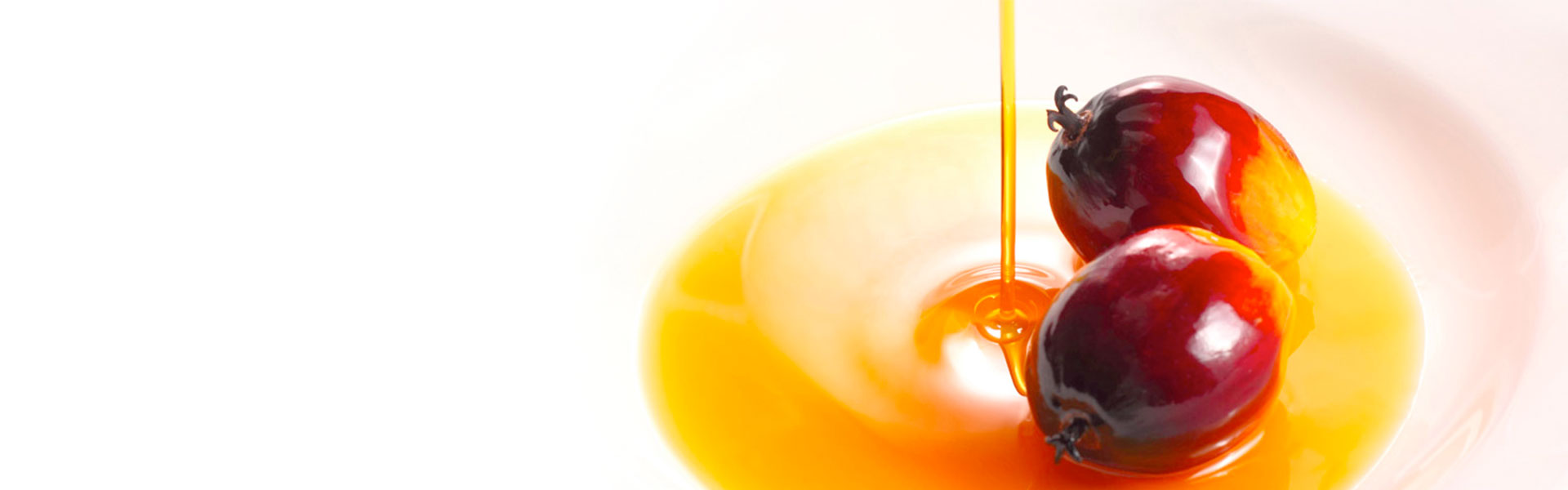palm-oil